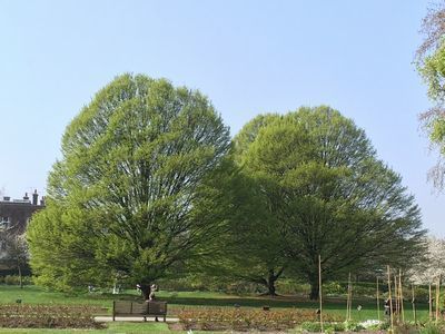 2019-03-30 10.40.25.jpg