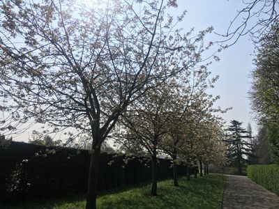 2019-03-30 10.48.11.jpg