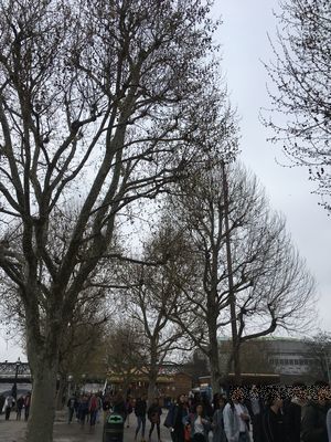2019-04-08 12.53.28.jpg