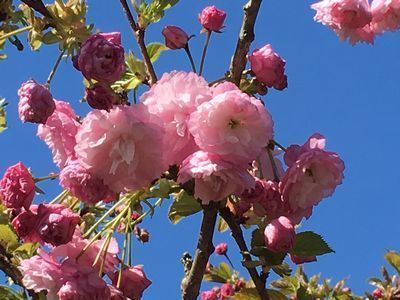 2019-04-10 13.16.54.jpg