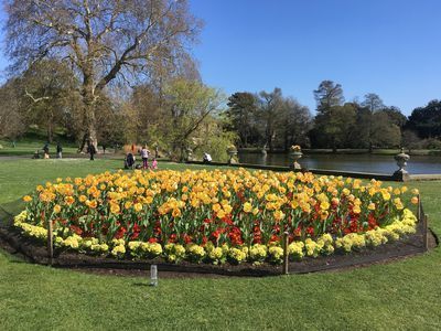 2019-04-10 14.16.57.jpg