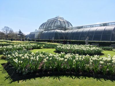 2019-04-10 14.17.16.jpg