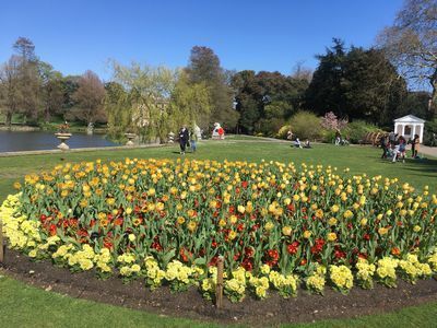 2019-04-10 14.20.55.jpg