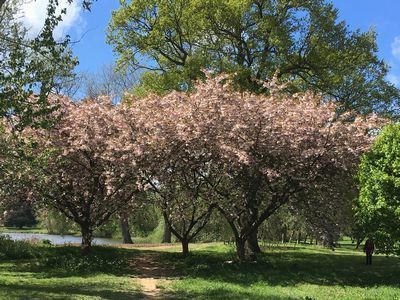 2019-04-26 13.55.12.jpg