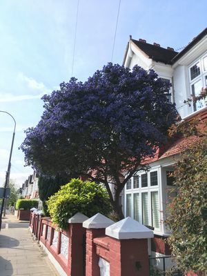 2019-04-30 09.25.57.jpg