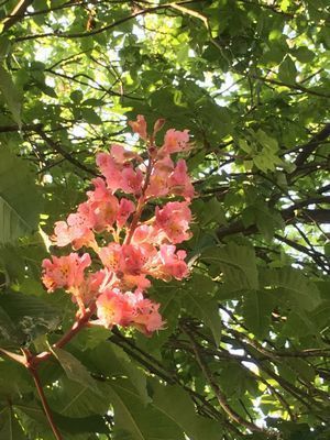 2019-04-30 09.45.14.jpg
