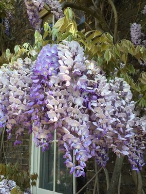 2019-04-30 09.52.35.jpg