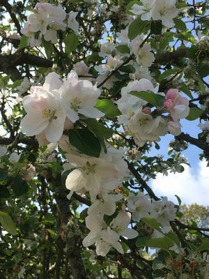 2019-04-30 09.56.25.jpg