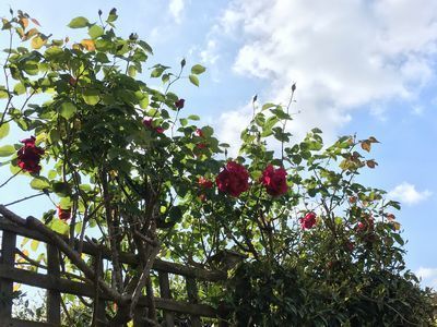 2019-04-30 16.27.06.jpg