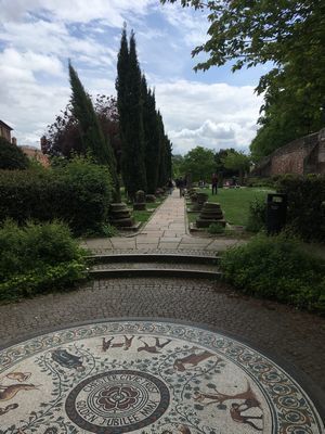 2019-05-19 13.38.14.jpg