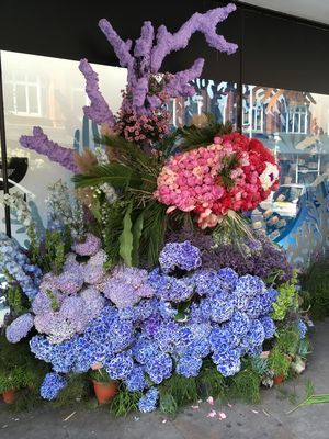 2019-05-22 16.09.14.jpg