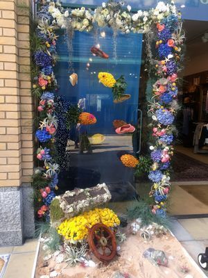 2019-05-22 16.15.59.jpg