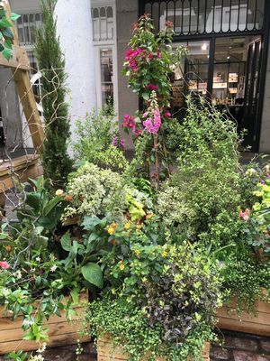 2019-06-13 15.05.14.jpg