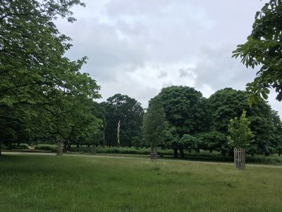 2019-06-15 14.21.15.jpg