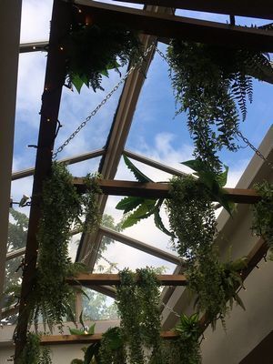 2019-06-16 17.37.18.jpg