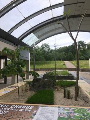 2019-06-18 11.47.49.jpg
