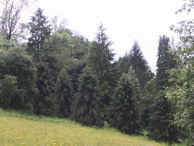 2019-06-18 12.22.59.jpg