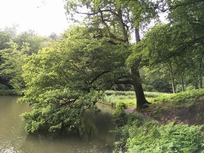 2019-06-18 12.42.01.jpg