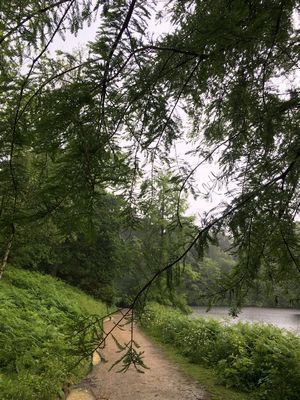 2019-06-18 12.44.14.jpg