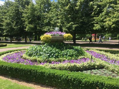 2019-06-22 12.07.44.jpg