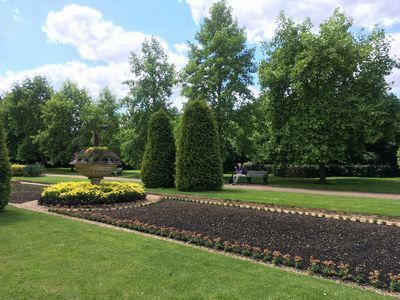 2019-06-22 12.15.55.jpg