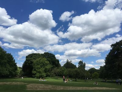 2019-06-22 12.24.19.jpg
