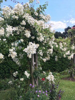 2019-06-22 15.18.46.jpg