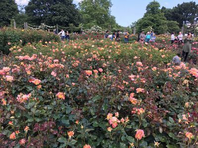2019-06-22 15.24.27.jpg