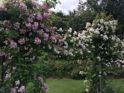 2019-06-22 15.24.50.jpg