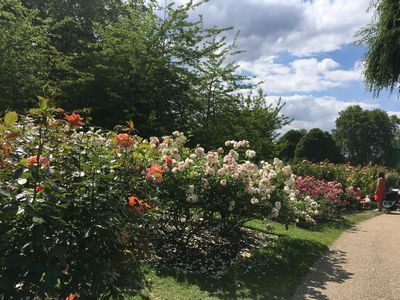 2019-06-22 15.33.40.jpg