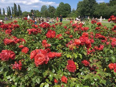 2019-06-22 15.35.55.jpg