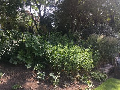 2019-06-22 15.43.28.jpg