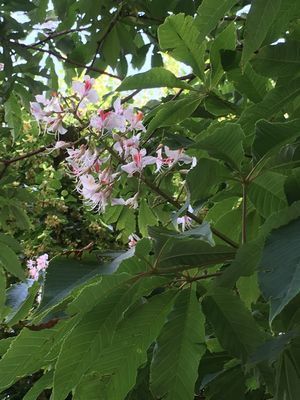 2019-06-28 10.49.08.jpg