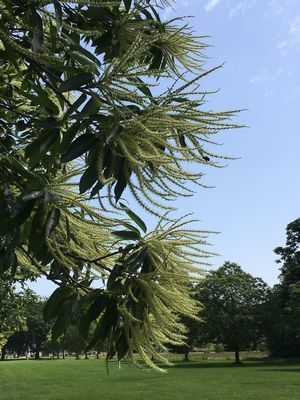 2019-06-28 11.20.48.jpg