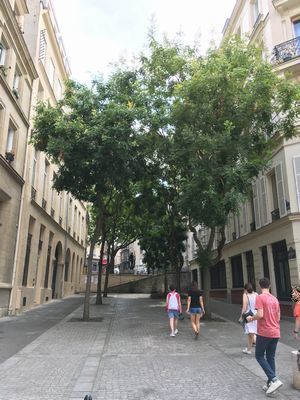 2019-07-07 15.21.01.jpg