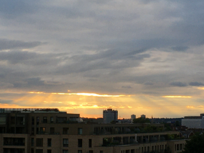 IMG_3063.jpg