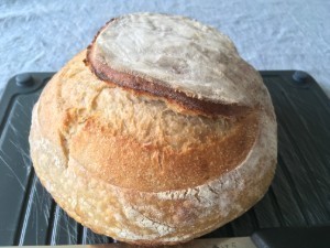 IMG_3218.jpg