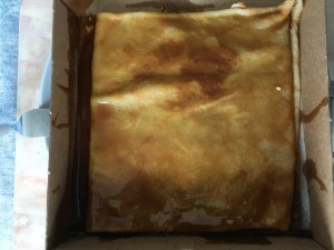 IMG_3366.jpg