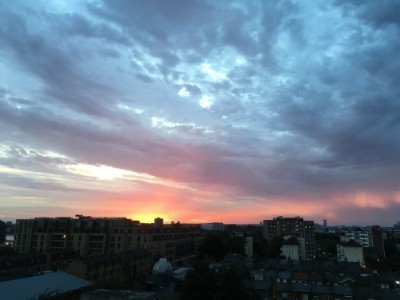 IMG_3533.jpg