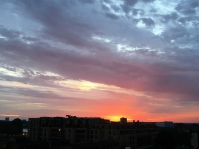 IMG_3534.jpg