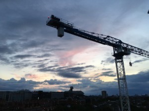 IMG_3547.jpg