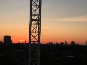 IMG_3550.jpg