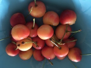 IMG_3578.jpg
