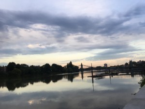 IMG_3594.jpg