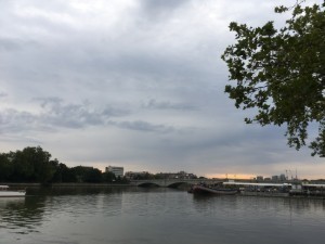 IMG_3603.jpg